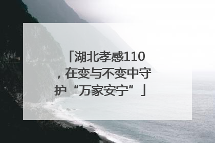 湖北孝感110，在变与不变中守护“万家安宁”