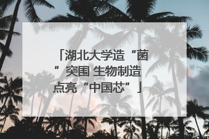 湖北大学造“菌”突围 生物制造点亮“中国芯”
