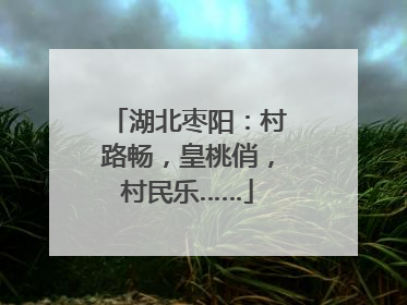 湖北枣阳：村路畅，皇桃俏，村民乐……