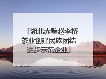 湖北赤壁赵李桥茶业创建民族团结进步示范企业