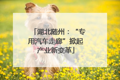 湖北随州：“专用汽车走廊”掀起产业新变革