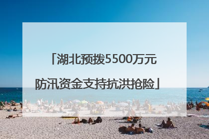湖北预拨5500万元防汛资金支持抗洪抢险