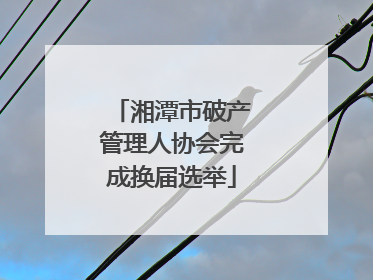 湘潭市破产管理人协会完成换届选举