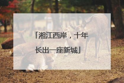 湘江西岸，十年长出一座新城