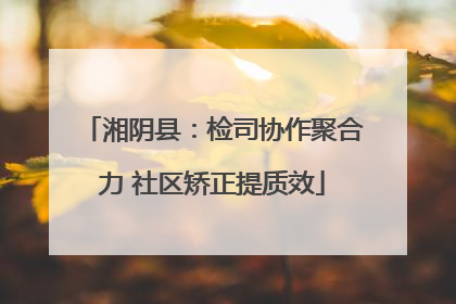 湘阴县：检司协作聚合力 社区矫正提质效