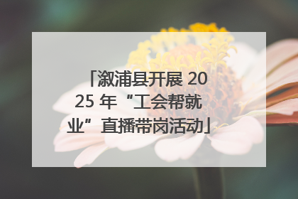 溆浦县开展 2025 年“工会帮就业”直播带岗活动