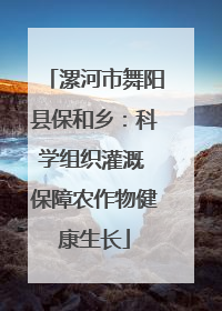 漯河市舞阳县保和乡：科学组织灌溉 保障农作物健康生长
