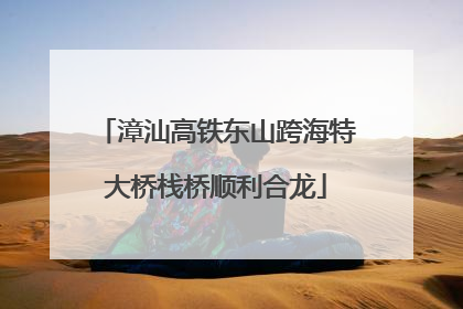 漳汕高铁东山跨海特大桥栈桥顺利合龙