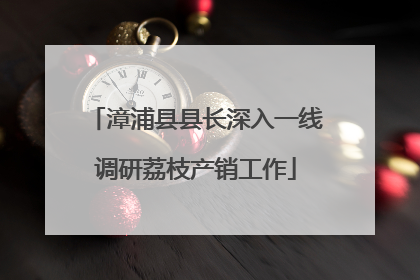 漳浦县县长深入一线调研荔枝产销工作