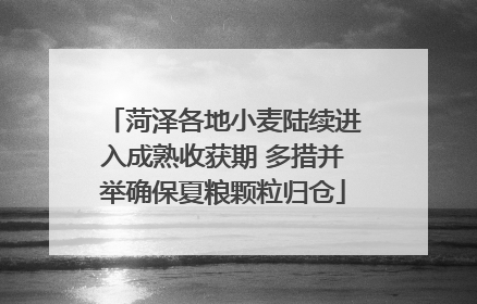 菏泽各地小麦陆续进入成熟收获期 多措并举确保夏粮颗粒归仓