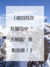 莆田首次发现鸟中“大熊猫”黄腹角雉！