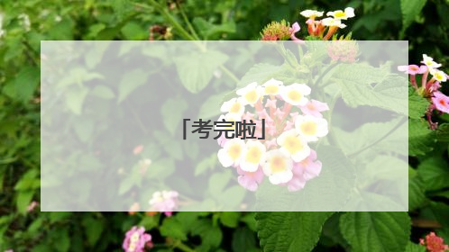 考完啦