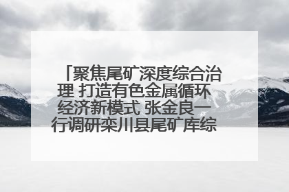 聚焦尾矿深度综合治理 打造有色金属循环经济新模式 张金良一行调研栾川县尾矿库综合治理工作