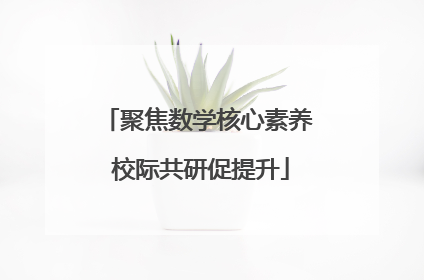 聚焦数学核心素养 校际共研促提升
