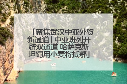 聚焦武汉中亚外贸新通道│中亚班列开辟双通道 哈萨克斯坦饲用小麦将抵鄂