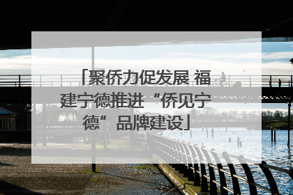 聚侨力促发展 福建宁德推进“侨见宁德”品牌建设