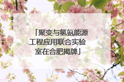 聚变与氢氨能源工程应用联合实验室在合肥揭牌