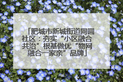 肥城市新城街道同圆社区：夯实“小区融合共治”根基做优“物网融合一家亲”品牌