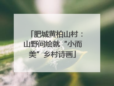 肥城黄柏山村：山野间绘就“小而美”乡村诗画