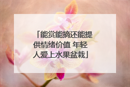 能赏能摘还能提供情绪价值 年轻人爱上水果盆栽