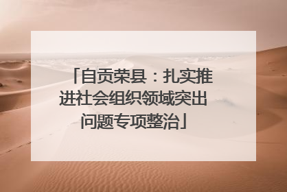 自贡荣县：扎实推进社会组织领域突出问题专项整治