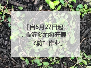 自5月27日起，临沂多地将开展“飞防”作业
