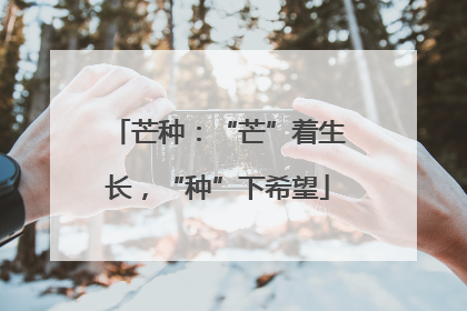 芒种：“芒”着生长，“种”下希望
