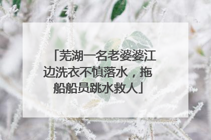 芜湖一名老婆婆江边洗衣不慎落水，拖船船员跳水救人