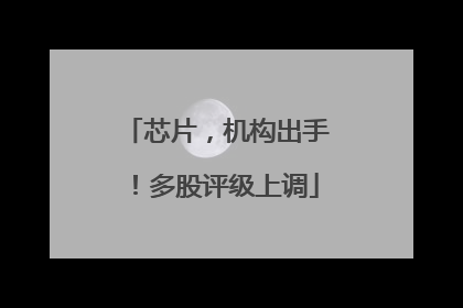 芯片，机构出手！多股评级上调
