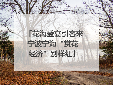 花海盛宴引客来 宁波宁海“赏花经济”别样红