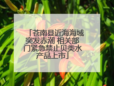 苍南县近海海域突发赤潮 相关部门紧急禁止贝类水产品上市