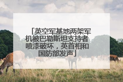 英空军基地两架军机被巴勒斯坦支持者喷漆破坏，英首相和国防部发声
