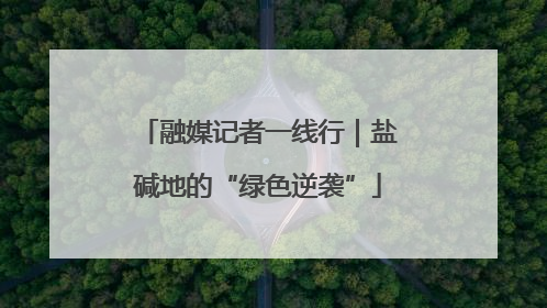 融媒记者一线行｜盐碱地的“绿色逆袭”