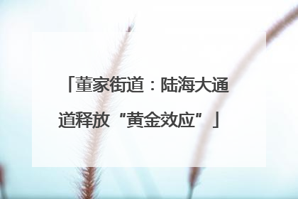 董家街道：陆海大通道释放“黄金效应”
