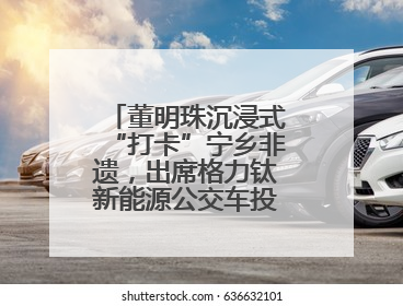 董明珠沉浸式“打卡”宁乡非遗，出席格力钛新能源公交车投放启动式