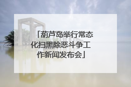 葫芦岛举行常态化扫黑除恶斗争工作新闻发布会