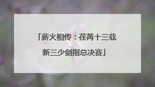 薪火相传：荏苒十三载 新三少剑指总决赛