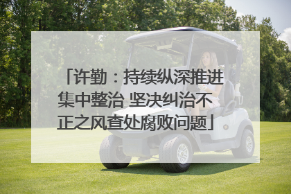 许勤：持续纵深推进集中整治 坚决纠治不正之风查处腐败问题