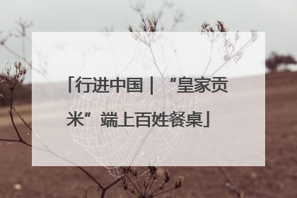 行进中国｜“皇家贡米”端上百姓餐桌