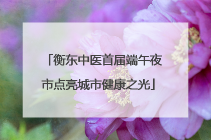 衡东中医首届端午夜市点亮城市健康之光