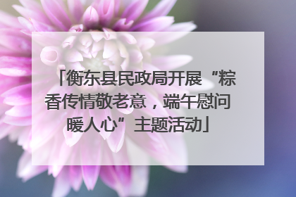 衡东县民政局开展“粽香传情敬老意，端午慰问暖人心”主题活动