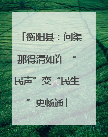 衡阳县：问渠那得清如许 “民声”变“民生”更畅通
