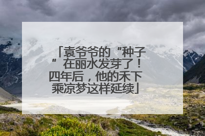 袁爷爷的“种子”在丽水发芽了！四年后，他的禾下乘凉梦这样延续