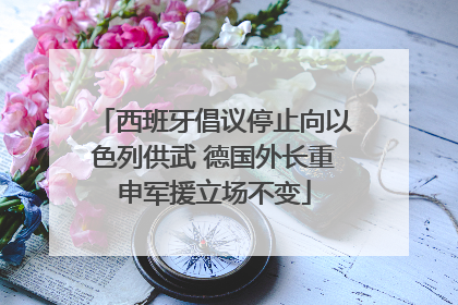 西班牙倡议停止向以色列供武 德国外长重申军援立场不变