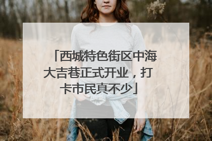 西城特色街区中海大吉巷正式开业，打卡市民真不少