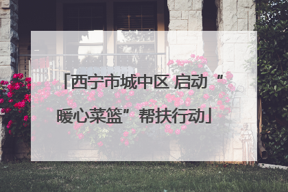 西宁市城中区 启动“暖心菜篮”帮扶行动