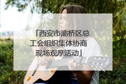 西安市灞桥区总工会组织集体协商现场观摩活动