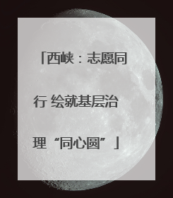 西峡：志愿同行 绘就基层治理“同心圆”