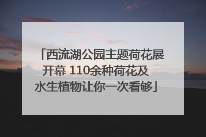 西流湖公园主题荷花展开幕 110余种荷花及水生植物让你一次看够