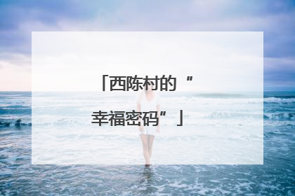 西陈村的“幸福密码”